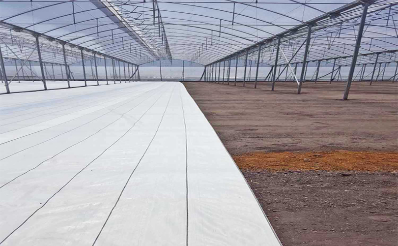 Venta de malla ground cover para piso de invernaderos para protección de insectos y plagas